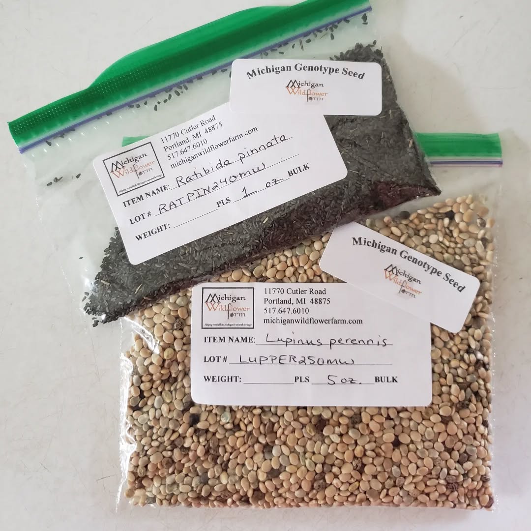 Two labeled plastic bags of native plant seeds from Michigan Wildflower Farm, including grayish Ratibida pinnata seeds and larger tan Lupinus perennis seeds, displayed on a white surface.